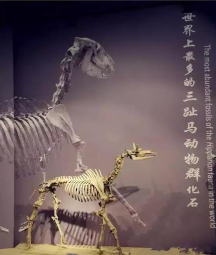 微信截图_20201127094715.jpg